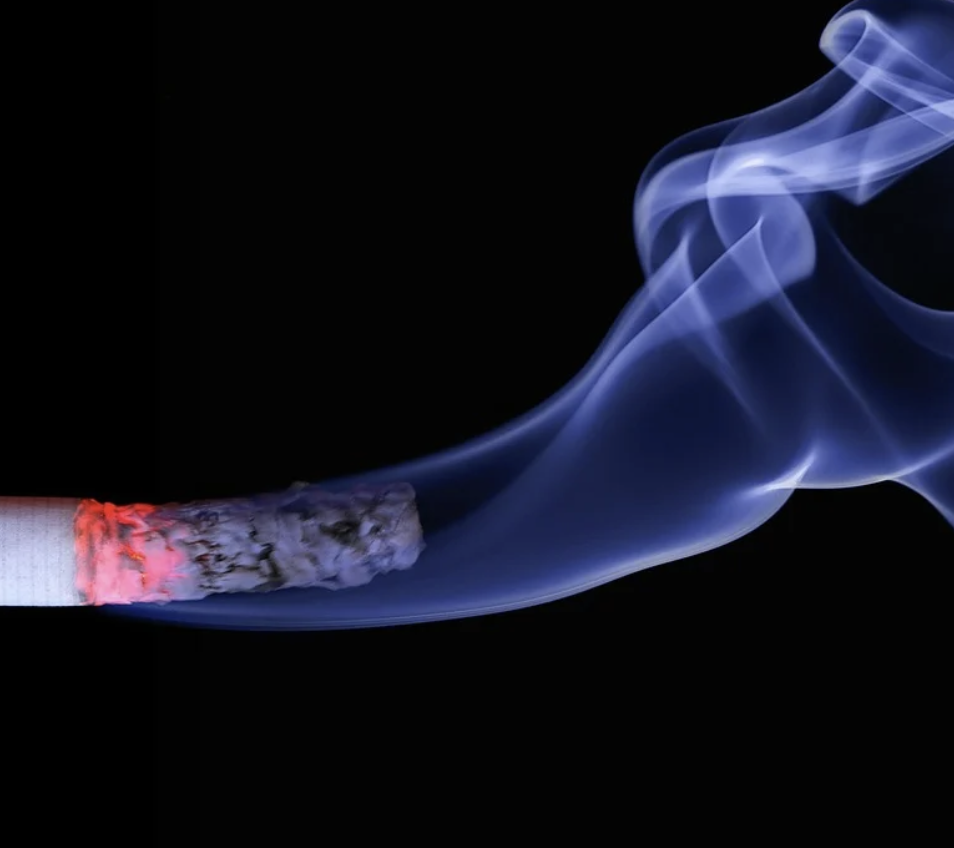 That beer-bellied jerk